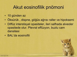 Akut eosinofilik pnömoni
• 10 günden az
• Öksürük , dispne, göğüs ağrısı raller ve hipoksemi
• Diffüz interstisyel opasiteler, ileri safhada alveoler
opasitede olur. Plevral effüzyon, buzlu cam
dansitesi
• BAL’da eosinofili
 