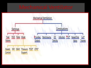 Mechanical Ventilator
 