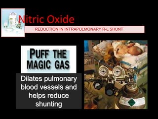 Dilates pulmonary
blood vessels and
helps reduce
shunting
REDUCTION IN INTRAPULMONARY R-L SHUNT
Nitric Oxide
 