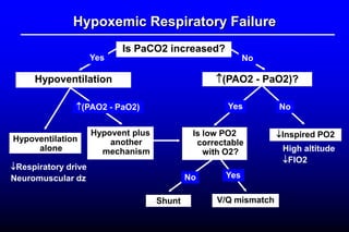 Hypoxemic Respiratory Failure
Is PaCO2 increased?
Hypoventilation (PAO2 - PaO2)?
Hypoventilation
alone
Respiratory drive
Neuromuscular dz
Hypovent plus
another
mechanism
Shunt
Inspired PO2
High altitude
FIO2
(PAO2 - PaO2) No
NoYes
Is low PO2
correctable
with O2?
V/Q mismatch
No Yes
Yes
 