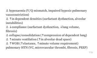 ♙ hypoxaemia (V/Q mismatch, impaired hypoxic pulmonary
vasoconstriction)
♙ ↑in dependent densities (surfactant dysfunction, alveolar
instabilities)
♙ ↓compliance (surfactant dysfunction, ↓lung volume,
fibrosis)
♙ collapse/consolidation (↑compression of dependent lung)
♙ ↑minute ventilation (↑in alveolar dead space)
♙ ↑WOB (↑elastance, ↑minute volume requirement)
pulmonary HTN (VC, microvascular thrombi, fibrosis, PEEP)
11b
 