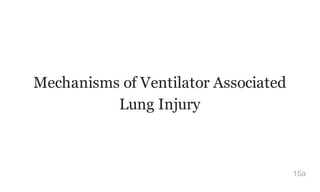 Mechanisms of Ventilator Associated
Lung Injury
15a
 