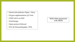  Stared with antibiotics Piptaz + Doxy
 Oxygen supplementation @2 l/min
 CPAP with 6 cm H2O
 Fluid therapy
 Sepsis protocol followed
 ECG & Echocardiography- WNL
Multi-lobar pneumonia
with ARDS
 