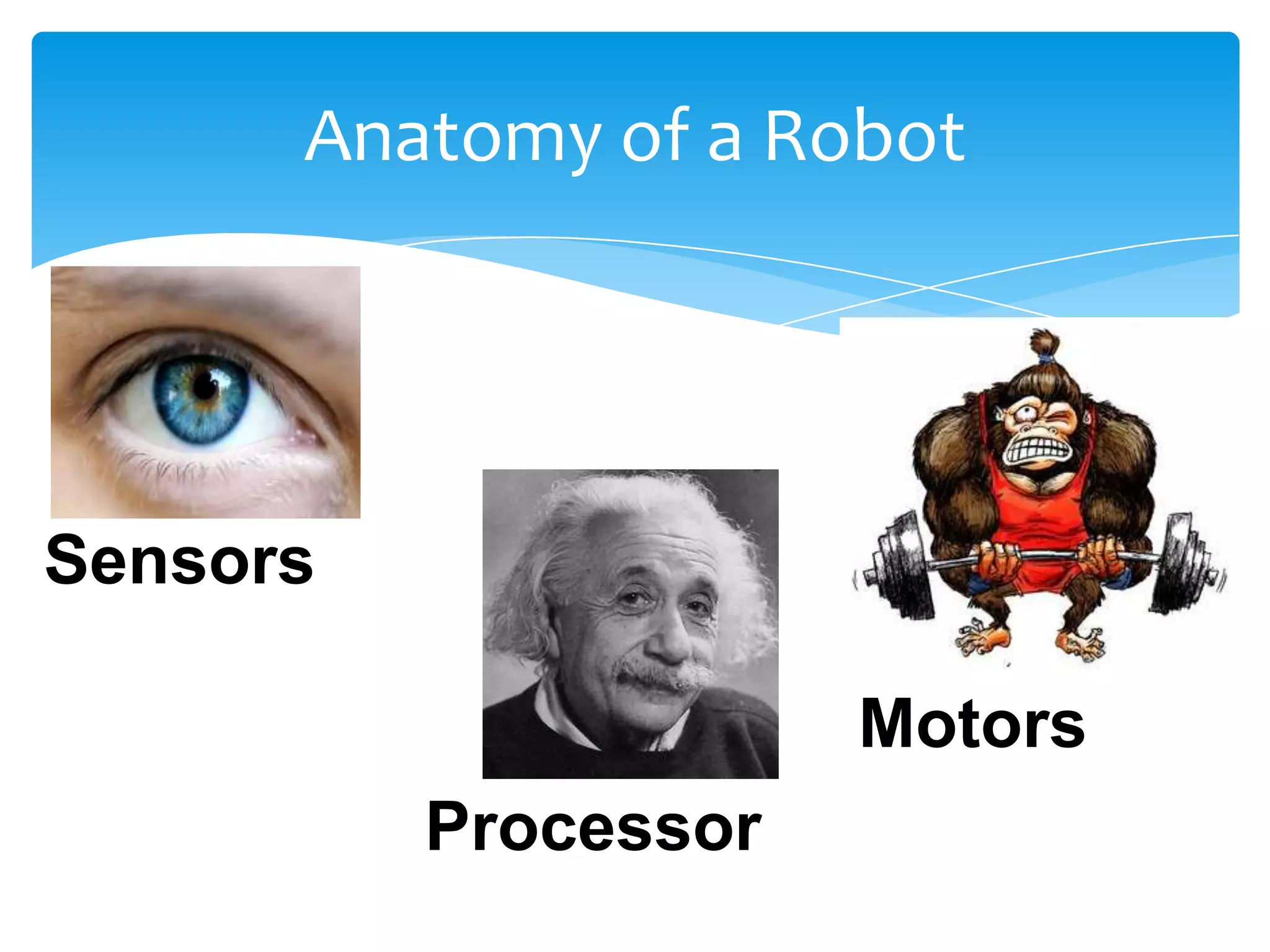Anatomy of a Robot Sensors Motors Processor 