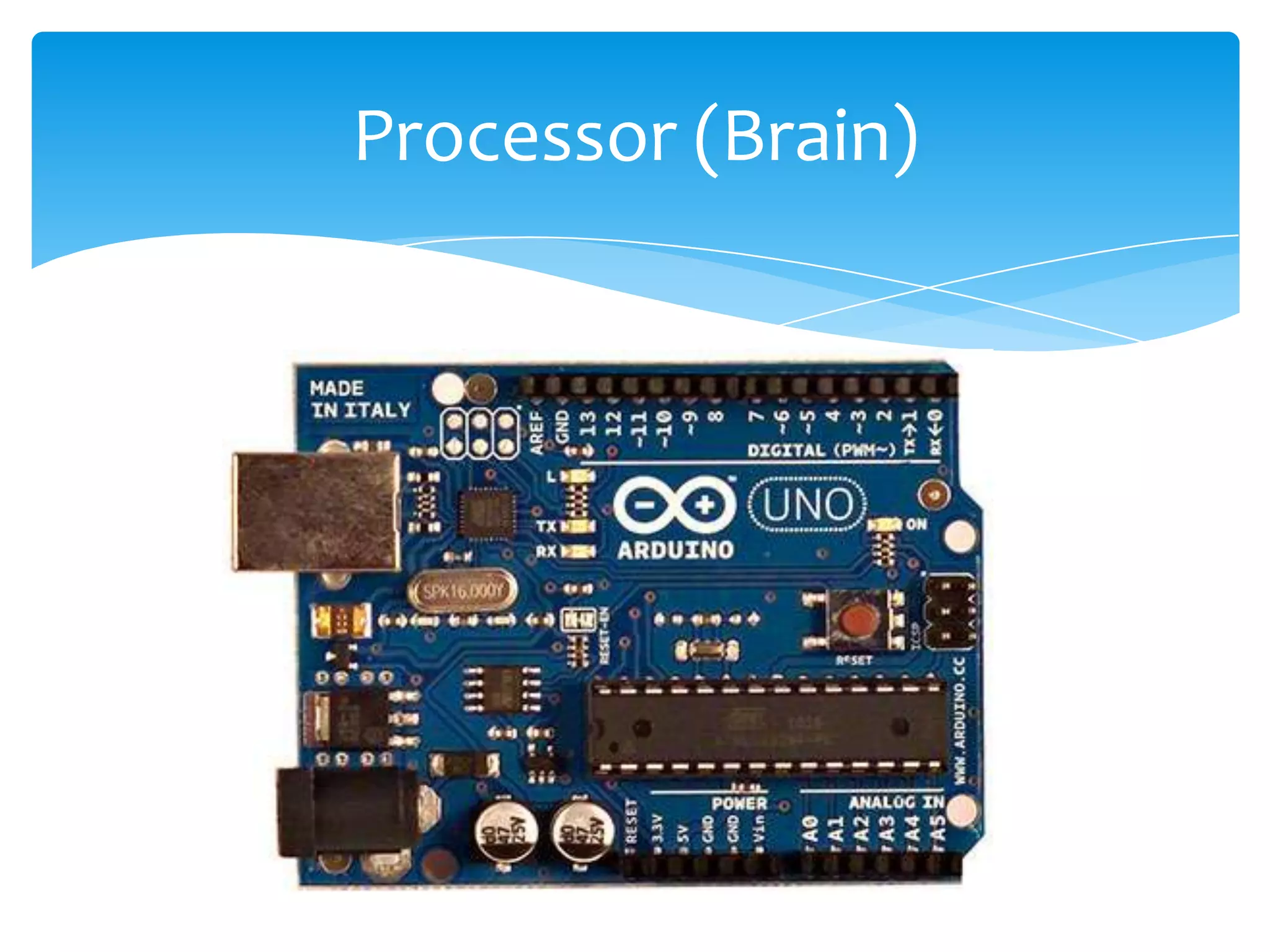 Processor (Brain) 