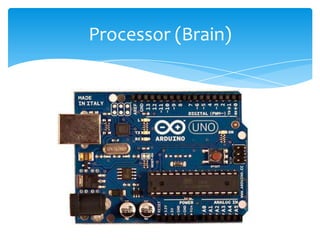 Processor (Brain)
 
