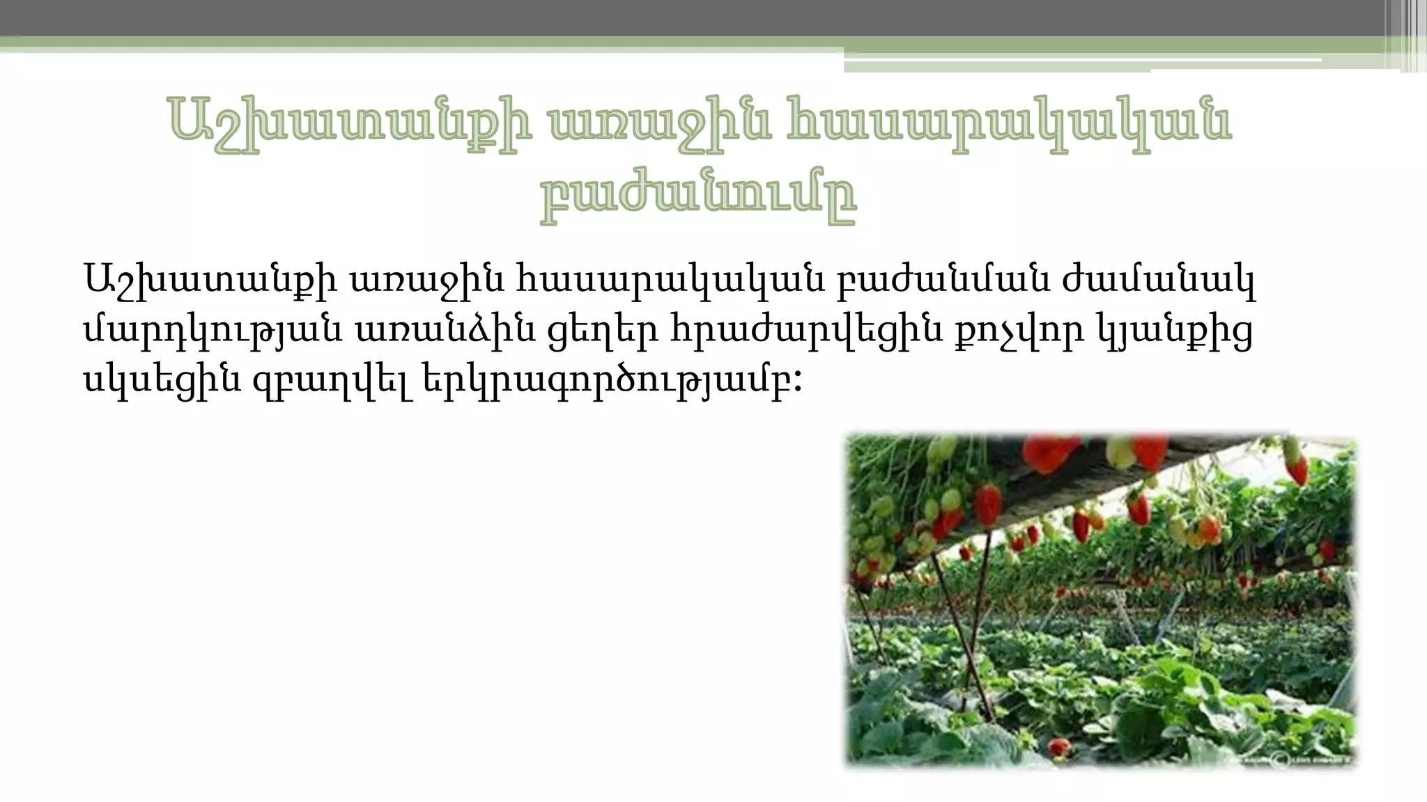 Աշխատանքի առաջին հասարակական բաժանման ժամանակ
մարդկության առանձին ցեղեր հրաժարվեցին քոչվոր կյանքից
սկսեցին զբաղվել երկրագործությամբ:

 