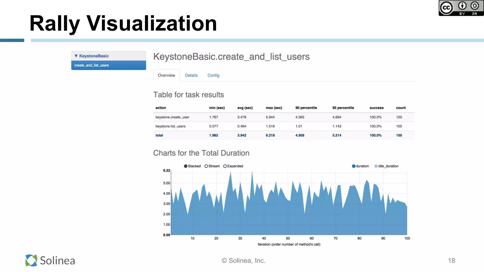 © Solinea, Inc.
Rally Visualization
18
 