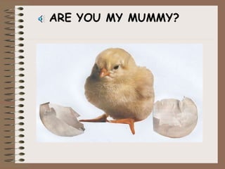 ARE YOU MY MUMMY? 