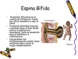 Espina Bífida Presentan dificultad en el control de esfínteres. Puede ser difícil enseñarlo a usar el toilet.  Presentan debilidad muscular o parálisis bajo el área donde ocurre la apertura (o hendidura), falta de sensación bajo la hendidura, e incontinencia.  Las personas con mielomeningocele suelen tener problemas para vaciar la vejiga completamente.  