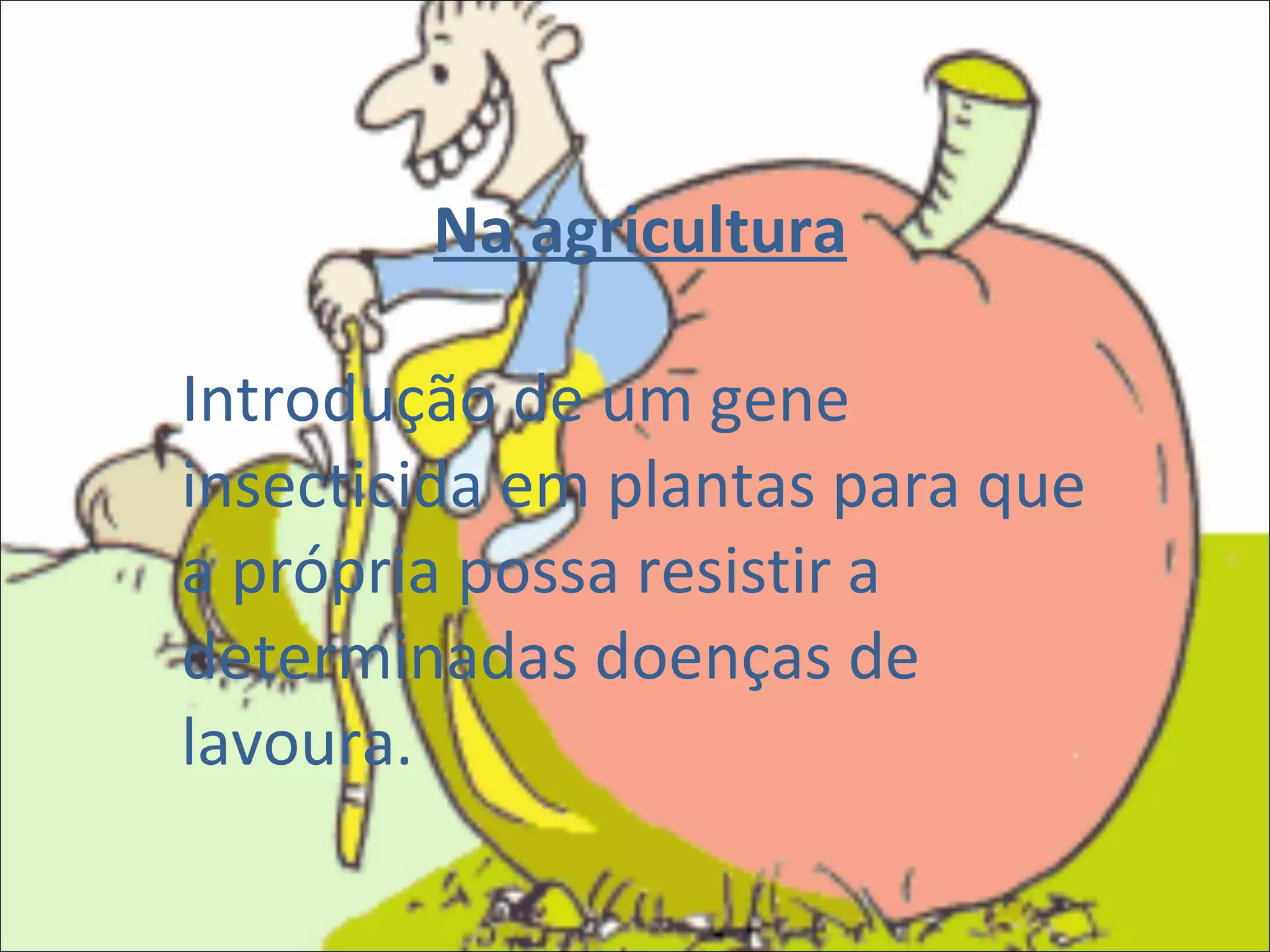 Na agricultura Introdução de um gene insecticida em plantas para que a própria possa resistir a determinadas doenças de lavoura. 