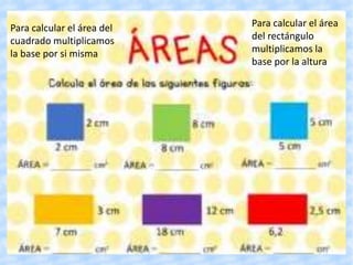 Para calcular el área del
cuadrado multiplicamos
la base por si misma
Para calcular el área
del rectángulo
multiplicamos la
base por la altura
 