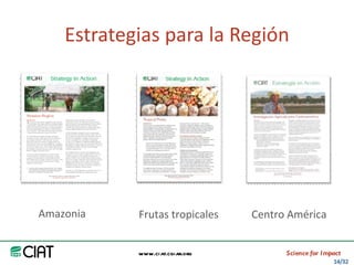 Area America Latina y el Caribe del CIAT: logros y retos