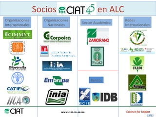 Area America Latina y el Caribe del CIAT: logros y retos