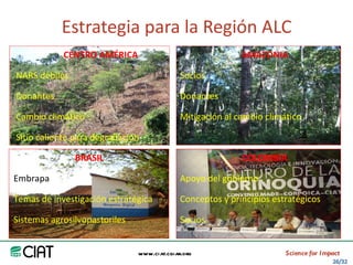 Area America Latina y el Caribe del CIAT: logros y retos