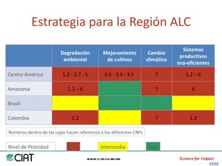 Area America Latina y el Caribe del CIAT: logros y retos