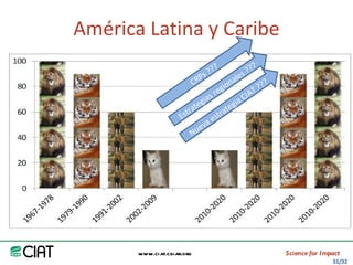 Area America Latina y el Caribe del CIAT: logros y retos