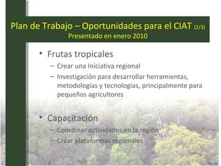 Area America Latina y el Caribe del CIAT: logros y retos