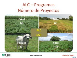 Area America Latina y el Caribe del CIAT: logros y retos