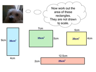 Now work out the area of these rectangles. They are not drawn to scale . 36cm 2 35cm 2 20cm 2 25cm 2 4cm 9cm 7cm 5cm 5cm 4cm 2cm 12.5cm 