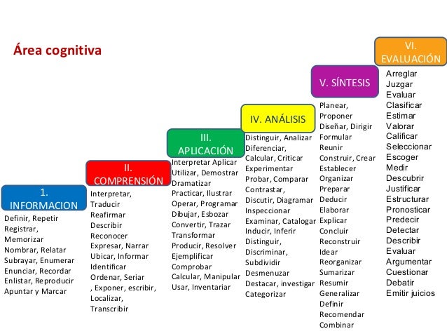 Area cognitiva