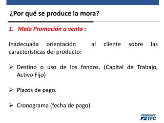 ¿Por qué se produce la mora?
1. Mala Promoción o venta :
Inadecuada orientación al cliente sobre las
características del producto:
 Destino o uso de los fondos. (Capital de Trabajo,
Activo Fijo)
 Plazos de pago.
 Cronograma (fecha de pago)
 