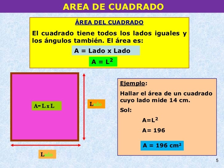 Area De Regiones Poligonales: Cuadrado y Rectángulo-Edken