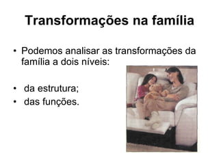 Transformações na família Podemos analisar as transformações da família a dois níveis:  da estrutura;  das funções. 