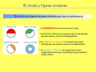 El círculo y figuras circulares El  círculo  es la parte de plano limitada por una circunferencia.    El  SEMICÍRCULO  es la mitad de un círculo.    El  SECTOR CIRCULAR  es la parte de círculo limitada por dos radios y su arco correspondiente.    El  SEGMENTO CIRCULAR  es la parte de círculo limitada por una cuerda y su arco correspondiente.    La  CORONA CIRCULAR  es la parte de círculo comprendida entre dos circunferencias que tienen el mismo centro. 