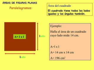 ÁREAS DE FIGURAS PLANAS l ado l ado A= l x l Área del cuadrado El cuadrado tiene todos los lados iguales y los ángulos también. Ejemplo: Halla el área de un cuadrado cuyo lado mide 14 cm. A=l x l  A= 14 cm x 14 cm A= 196 cm 2 Paralelogramos 