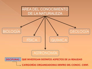 Pensamiento deductivo