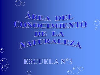ÁREA  DEL   CONOCIMIENTO  DE  LA   NATURALEZA ESCUELA N°3 