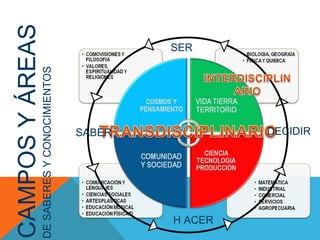 CAMPOS Y ÁREAS DE SABERES Y CONOCIMIENTOS SER DECIDIR H ACER SABER 