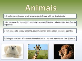 1-O bicho-da-seda pode sentir a presença da fêmea a 11 km de distância.


2-As formigas são equipadas com cinco narizes diferentes, cada um com uma função
específica.


3- Em proporção ao seu tamanho, os animais mais fortes são os besouros gigantes.


4- O órgão sexual da aranha macho está localizada no final de uma das suas patinhas.
 