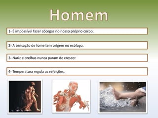 1- É impossível fazer cócegas no nosso próprio corpo.


2- A sensação de fome tem origem no esófago.


3- Nariz e orelhas nunca param de crescer.


4- Temperatura regula as refeições.
 