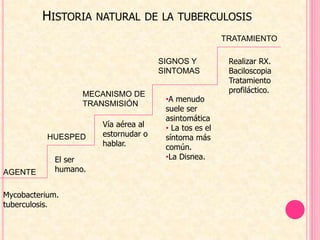 HISTORIA NATURAL DE LA TUBERCULOSIS
Mycobacterium.
tuberculosis.
AGENTE
HUESPED
El ser
humano.
MECANISMO DE
TRANSMISIÓN
Vía aérea al
estornudar o
hablar.
SIGNOS Y
SINTOMAS
TRATAMIENTO
•A menudo
suele ser
asintomática
• La tos es el
síntoma más
común.
•La Disnea.
Realizar RX.
Baciloscopia
Tratamiento
profiláctico.
 
