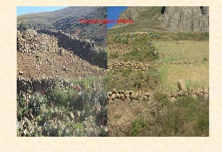 Area description of Kabe (Dagnu)  watershed, Ethiopia