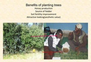 Area description of Kabe (Dagnu)  watershed, Ethiopia