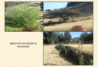 Area description of Kabe (Dagnu)  watershed, Ethiopia