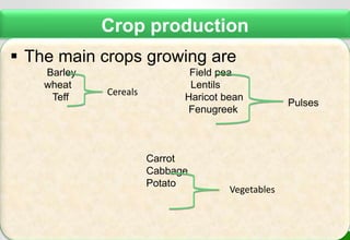 Area description of Kabe (Dagnu)  watershed, Ethiopia