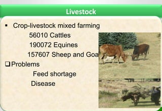 Area description of Kabe (Dagnu)  watershed, Ethiopia