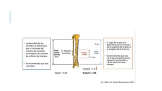 AREA DE TRABAJO.pptx