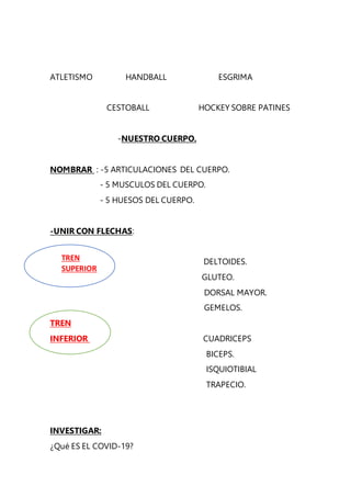 ATLETISMO HANDBALL ESGRIMA
CESTOBALL HOCKEY SOBRE PATINES
-NUESTRO CUERPO.
NOMBRAR : -5 ARTICULACIONES DEL CUERPO.
- 5 MUS...