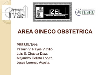 AREA GINECO OBSTETRICA

PRESENTAN:
Yazmin V. Reyes Virgilio.
Luis E. Chávez Díaz.
Alejandro Gelista López.
Jesus Lorenzo Acosta.
 