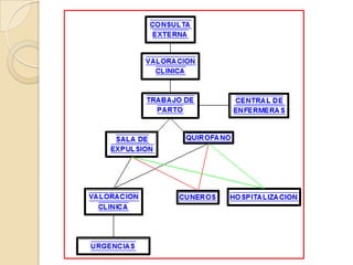 Area gineco obstetrica
