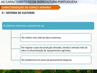 O sistema intensivo caracteriza-se:
Por utilizar uma mão de obra numerosa;
Por registar custos de produção elevados, devido à elevada mão de
obra e à diversificação de equipamentos agrícolas;
Por predominar em áreas de povoamento disperso.
II – SISTEMA DE CULTURAS
CARACTERIZAÇÃO DO ESPAÇO AGRÁRIO
 