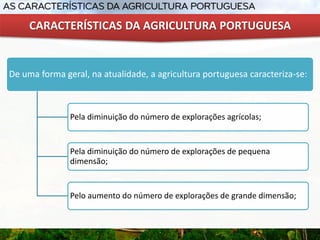 De uma forma geral, na atualidade, a agricultura portuguesa caracteriza-se:
Pela diminuição do número de explorações agrícolas;
Pela diminuição do número de explorações de pequena
dimensão;
Pelo aumento do número de explorações de grande dimensão;
CARACTERÍSTICAS DA AGRICULTURA PORTUGUESA
 