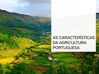 Características da agricultura portuguesa