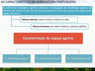 Caracterização do espaço agrário
I - Morfologia agrária II - Sistema de culturas III - Povoamento rural
As diferentes paisagens agrárias refletem a conjugação da morfologia agrária, do
sistema de cultura e das formas de povoamento rural, que variam de região para
região devido a:
Fatores naturais, como o clima, o relevo e o solo;
Fatores humanos, de ordem histórica, cultural e política.
 