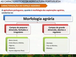 Morfologia agrária
Campos de pequena
dimensão, fechados e
irregulares
- Beira Litoral;
- Entre Douro e Minho;
- Algarve;
- Madeira;
- Açores (algumas ilhas).
Campos de grande
dimensão, abertos e
regulares
- Alentejo;
- Trás-os-Montes;
- Ribatejo.
A agricultura portuguesa, quanto à morfologia das explorações agrárias,
carateriza-se:
CARACTERIZAÇÃO DO ESPAÇO AGRÁRIO
 